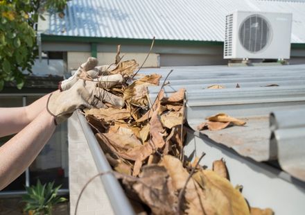 Why Should You Have Your Gutters Cleaned Annually