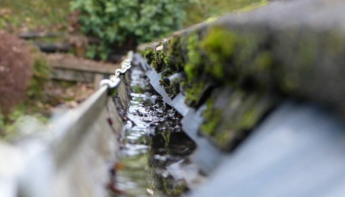 Why Should You Have Your Gutters Cleaned Annually