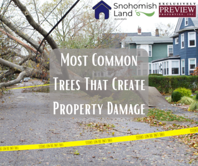 Most Common Trees That Create Property Damage
