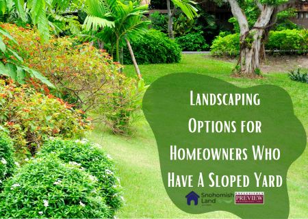 Landscaping Options for Homeowners Who Have A Sloped Yard
