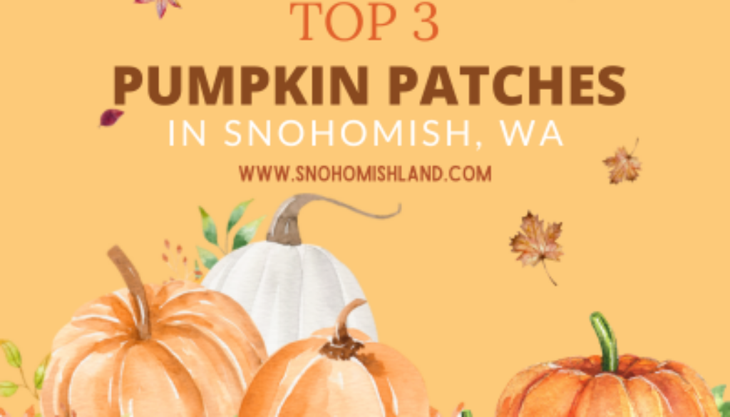 Top 3 Pumpkin Patches in Snohomish, WA
