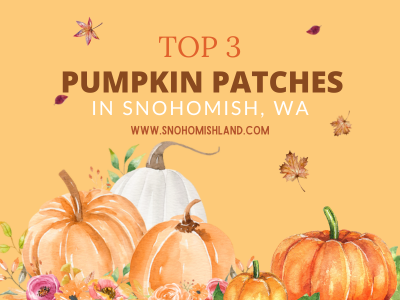 Top 3 Pumpkin Patches in Snohomish, WA